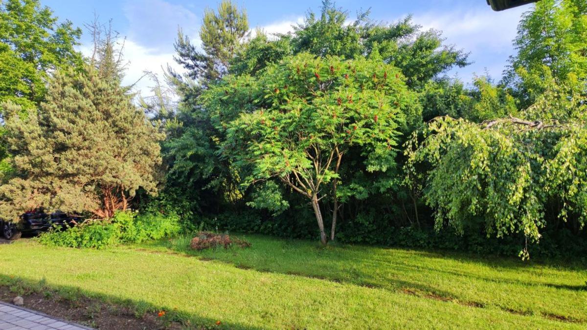 Osrodek Wczasowy Krasniczanka Otel Muszyna Dış mekan fotoğraf